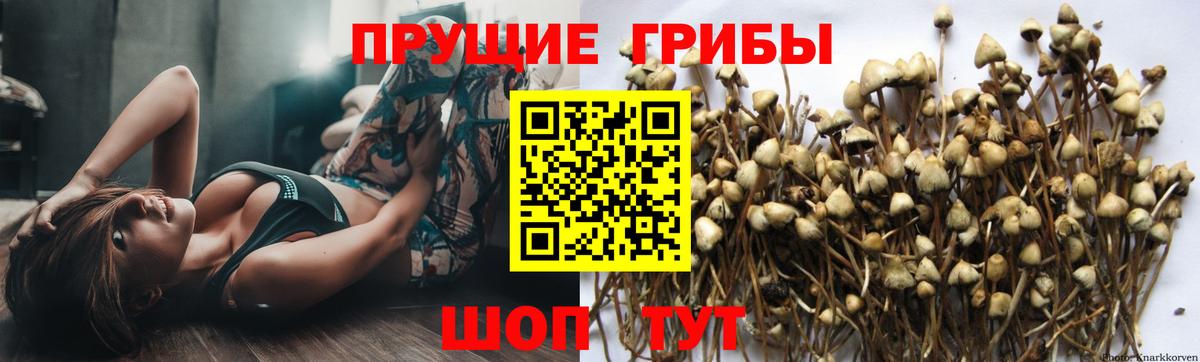 Псилоцибиновые грибы ЛСД  Вход с VPN  Нововоронеж 